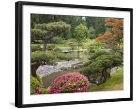 Flowers in Bloom, Japanese Garden, Washington Park Arboretum, Seattle, Washington, USA-Jamie & Judy Wild-Framed Photographic Print