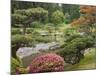 Flowers in Bloom, Japanese Garden, Washington Park Arboretum, Seattle, Washington, USA-Jamie & Judy Wild-Mounted Photographic Print