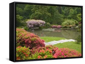 Flowers in Bloom, Japanese Garden, Washington Park Arboretum, Seattle, Washington, USA-Jamie & Judy Wild-Framed Stretched Canvas