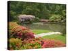 Flowers in Bloom, Japanese Garden, Washington Park Arboretum, Seattle, Washington, USA-Jamie & Judy Wild-Stretched Canvas