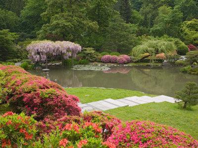 https://imgc.allpostersimages.com/img/posters/flowers-in-bloom-japanese-garden-washington-park-arboretum-seattle-washington-usa_u-L-P2U6AM0.jpg?artPerspective=n
