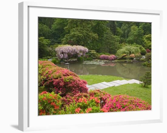 Flowers in Bloom, Japanese Garden, Washington Park Arboretum, Seattle, Washington, USA-Jamie & Judy Wild-Framed Photographic Print