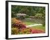 Flowers in Bloom, Japanese Garden, Washington Park Arboretum, Seattle, Washington, USA-Jamie & Judy Wild-Framed Photographic Print