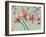 Flowers in Bloom on a Tree-Myan Soffia-Framed Photographic Print