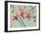 Flowers in Bloom on a Tree-Myan Soffia-Framed Photographic Print