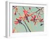 Flowers in Bloom on a Tree-Myan Soffia-Framed Photographic Print