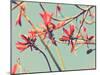 Flowers in Bloom on a Tree-Myan Soffia-Mounted Photographic Print