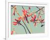 Flowers in Bloom on a Tree-Myan Soffia-Framed Photographic Print