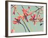 Flowers in Bloom on a Tree-Myan Soffia-Framed Photographic Print