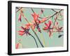 Flowers in Bloom on a Tree-Myan Soffia-Framed Photographic Print