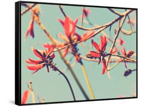 Flowers in Bloom on a Tree-Myan Soffia-Framed Stretched Canvas