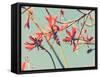 Flowers in Bloom on a Tree-Myan Soffia-Framed Stretched Canvas