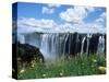 Flowers in Bloom with the Victoria Falls Behind, Unesco World Heritage Site, Zambia, Africa-D H Webster-Stretched Canvas