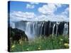 Flowers in Bloom with the Victoria Falls Behind, Unesco World Heritage Site, Zambia, Africa-D H Webster-Stretched Canvas