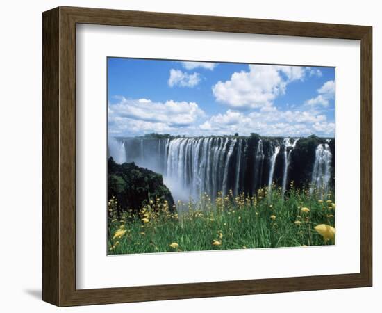 Flowers in Bloom with the Victoria Falls Behind, Unesco World Heritage Site, Zambia, Africa-D H Webster-Framed Photographic Print