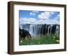 Flowers in Bloom with the Victoria Falls Behind, Unesco World Heritage Site, Zambia, Africa-D H Webster-Framed Photographic Print