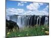 Flowers in Bloom with the Victoria Falls Behind, Unesco World Heritage Site, Zambia, Africa-D H Webster-Mounted Photographic Print