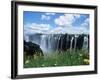 Flowers in Bloom with the Victoria Falls Behind, Unesco World Heritage Site, Zambia, Africa-D H Webster-Framed Photographic Print