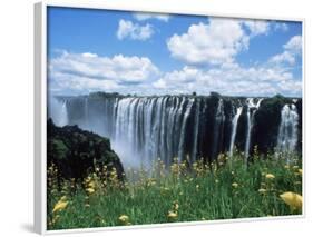 Flowers in Bloom with the Victoria Falls Behind, Unesco World Heritage Site, Zambia, Africa-D H Webster-Framed Photographic Print