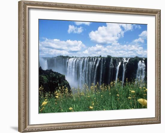 Flowers in Bloom with the Victoria Falls Behind, Unesco World Heritage Site, Zambia, Africa-D H Webster-Framed Photographic Print