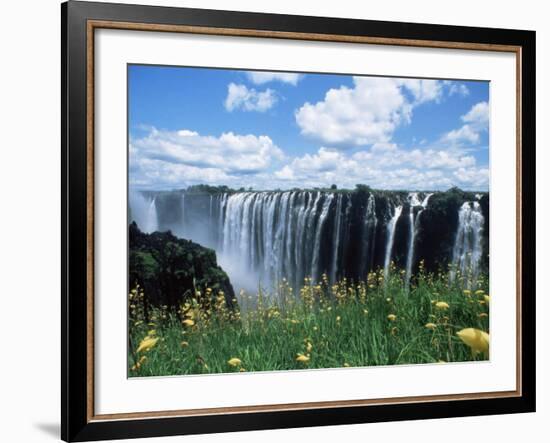 Flowers in Bloom with the Victoria Falls Behind, Unesco World Heritage Site, Zambia, Africa-D H Webster-Framed Photographic Print