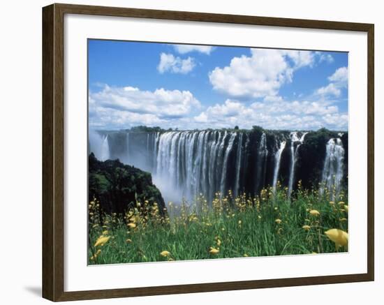 Flowers in Bloom with the Victoria Falls Behind, Unesco World Heritage Site, Zambia, Africa-D H Webster-Framed Photographic Print