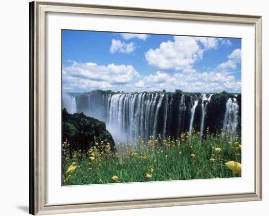 Flowers in Bloom with the Victoria Falls Behind, Unesco World Heritage Site, Zambia, Africa-D H Webster-Framed Photographic Print