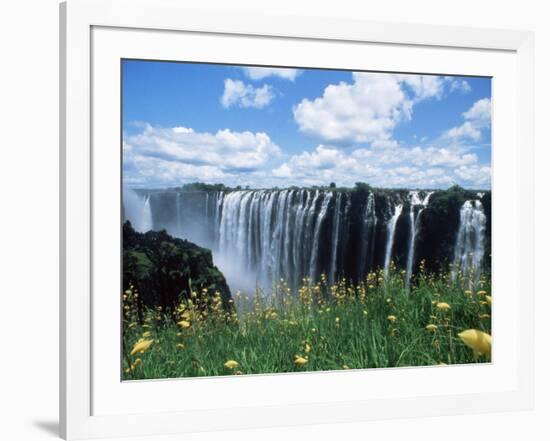 Flowers in Bloom with the Victoria Falls Behind, Unesco World Heritage Site, Zambia, Africa-D H Webster-Framed Photographic Print