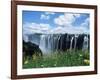 Flowers in Bloom with the Victoria Falls Behind, Unesco World Heritage Site, Zambia, Africa-D H Webster-Framed Photographic Print