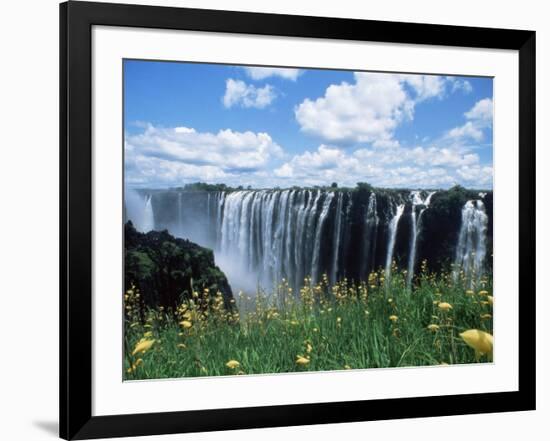 Flowers in Bloom with the Victoria Falls Behind, Unesco World Heritage Site, Zambia, Africa-D H Webster-Framed Photographic Print