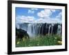 Flowers in Bloom with the Victoria Falls Behind, Unesco World Heritage Site, Zambia, Africa-D H Webster-Framed Photographic Print