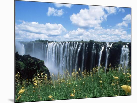 Flowers in Bloom with the Victoria Falls Behind, Unesco World Heritage Site, Zambia, Africa-D H Webster-Mounted Photographic Print