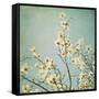 Flowers in Bloom-Myan Soffia-Framed Stretched Canvas