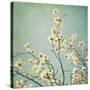 Flowers in Bloom-Myan Soffia-Stretched Canvas