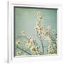 Flowers in Bloom-Myan Soffia-Framed Photographic Print