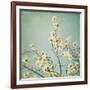 Flowers in Bloom-Myan Soffia-Framed Photographic Print