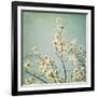 Flowers in Bloom-Myan Soffia-Framed Photographic Print