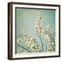 Flowers in Bloom-Myan Soffia-Framed Photographic Print