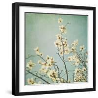 Flowers in Bloom-Myan Soffia-Framed Photographic Print