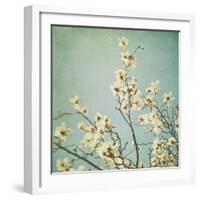 Flowers in Bloom-Myan Soffia-Framed Photographic Print