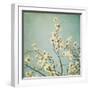 Flowers in Bloom-Myan Soffia-Framed Photographic Print