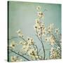 Flowers in Bloom-Myan Soffia-Stretched Canvas