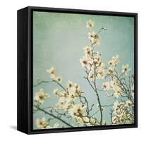 Flowers in Bloom-Myan Soffia-Framed Stretched Canvas