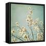 Flowers in Bloom-Myan Soffia-Framed Stretched Canvas
