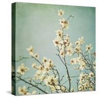 Flowers in Bloom-Myan Soffia-Stretched Canvas
