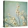 Flowers in Bloom-Myan Soffia-Stretched Canvas