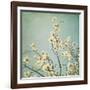 Flowers in Bloom-Myan Soffia-Framed Photographic Print