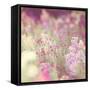 Flowers in Bloom-Myan Soffia-Framed Stretched Canvas