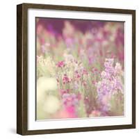 Flowers in Bloom-Myan Soffia-Framed Photographic Print