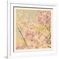 Flowers in Bloom-Myan Soffia-Framed Photographic Print